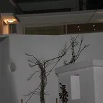 Andoni's House * Πιτροφός
