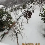 Andoni's House Πιτροφός