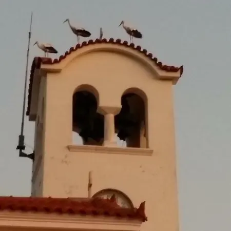 Andoni's House Πιτροφός