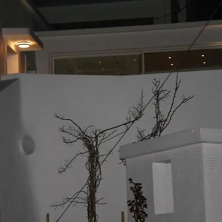Andoni's House * Pitrofos