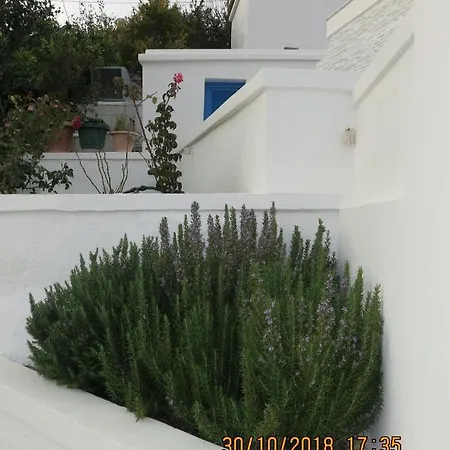 Andoni's House *